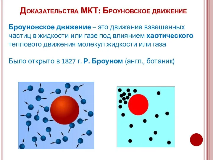 Доказательства МКТ: Броуновское движение Броуновское движение – это движение взвешенных частиц в