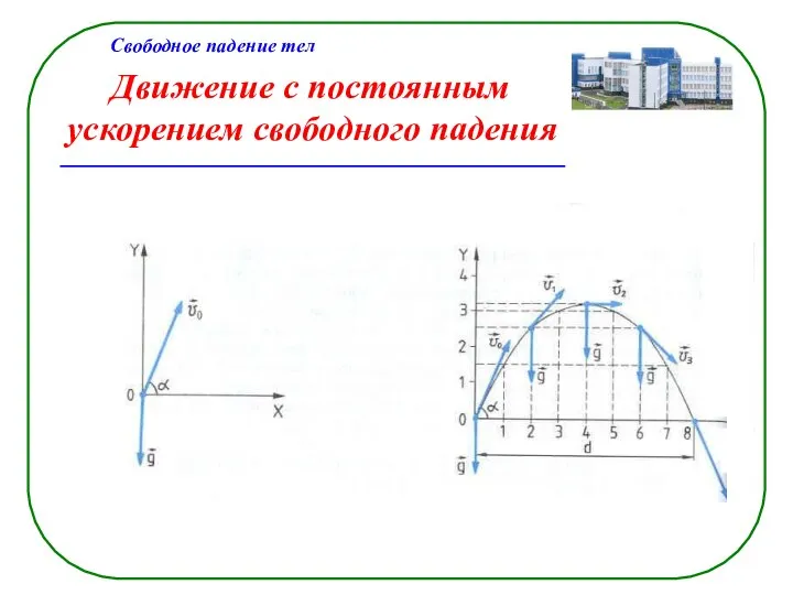 Движение с постоянным ускорением свободного падения Свободное падение тел