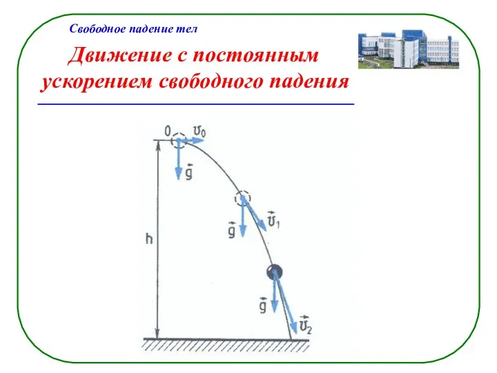 Движение с постоянным ускорением свободного падения Свободное падение тел