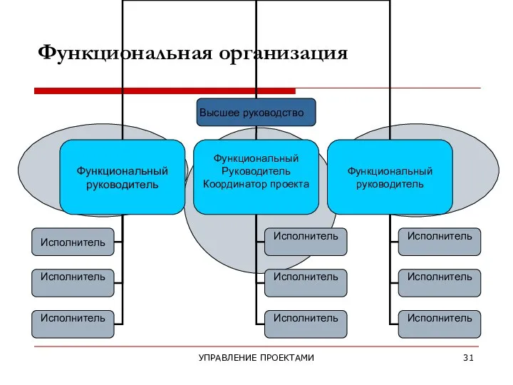 УПРАВЛЕНИЕ ПРОЕКТАМИ Функциональная организация