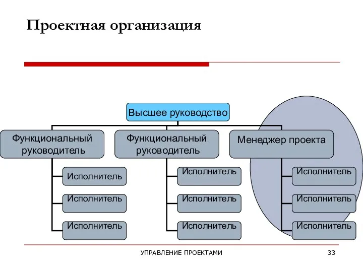 УПРАВЛЕНИЕ ПРОЕКТАМИ Проектная организация