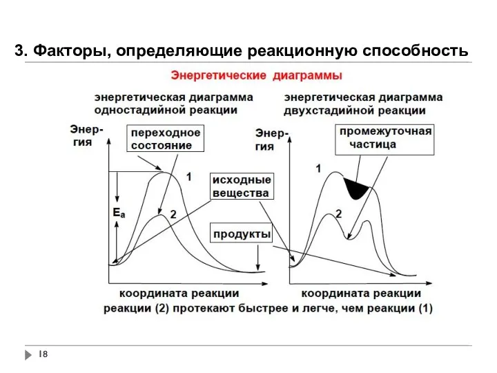 3. Факторы, определяющие реакционную способность