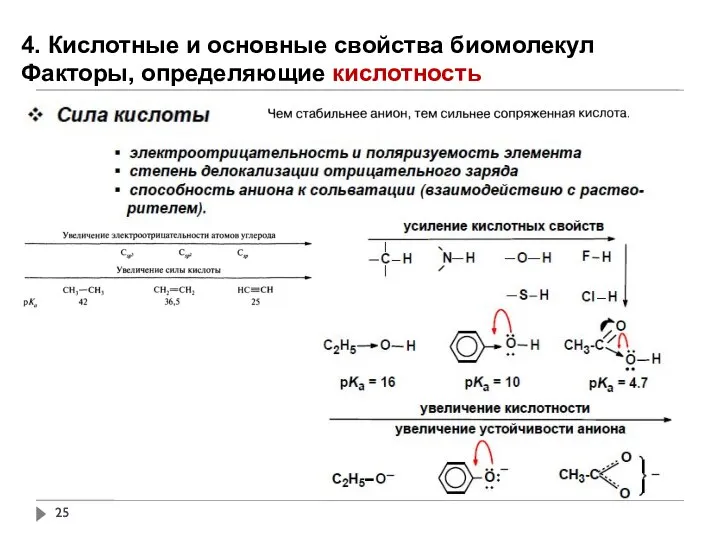 4. Кислотные и основные свойства биомолекул Факторы, определяющие кислотность