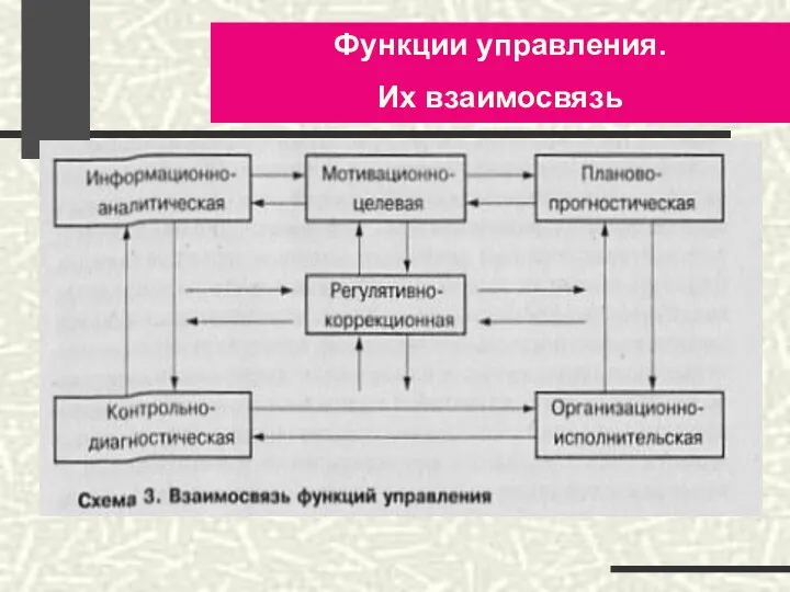 Функции управления. Их взаимосвязь