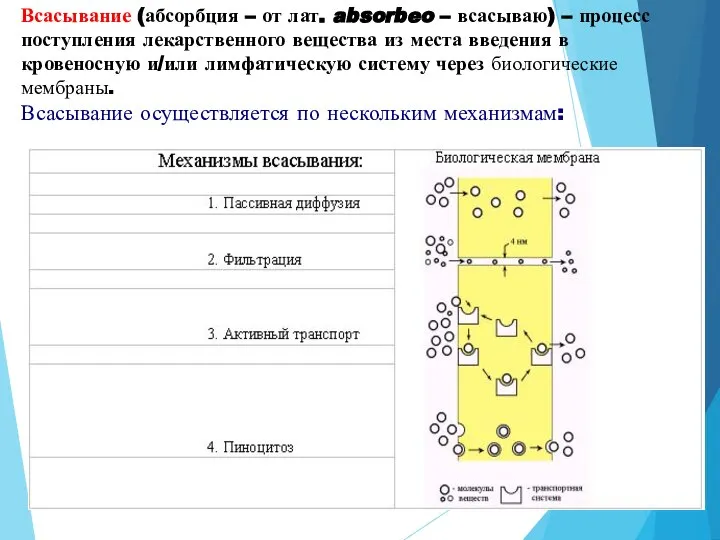 Всасывание (абсорбция – от лат. absorbeo – всасываю) – процесс поступления лекарственного