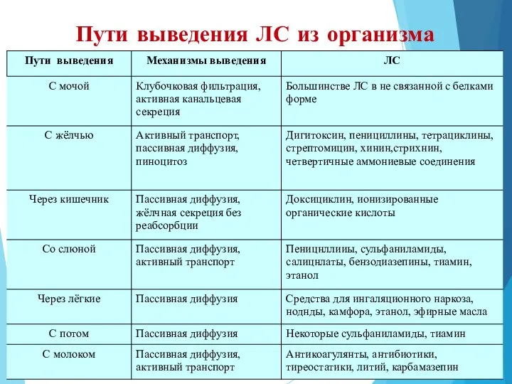 Пути выведения ЛС из организма