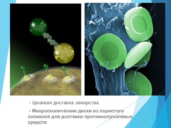 - Целевая доставка лекарства - Микроскопические диски из пористого силикона для доставки противоопухолевых средств