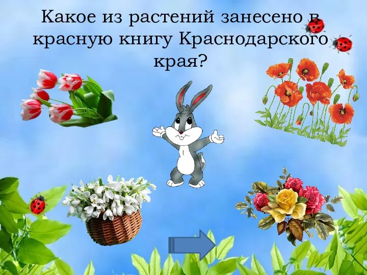 Какое из растений занесено в красную книгу Краснодарского края?