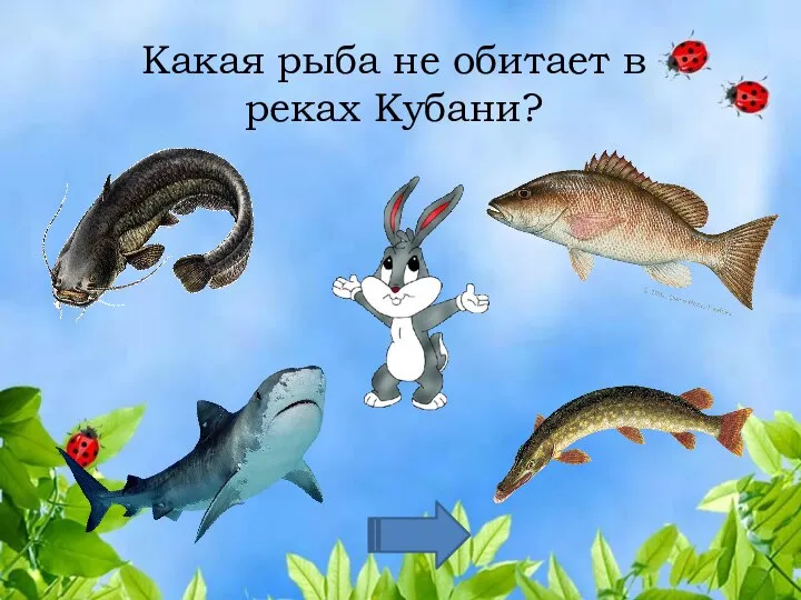 Какая рыба не обитает в реках Кубани?
