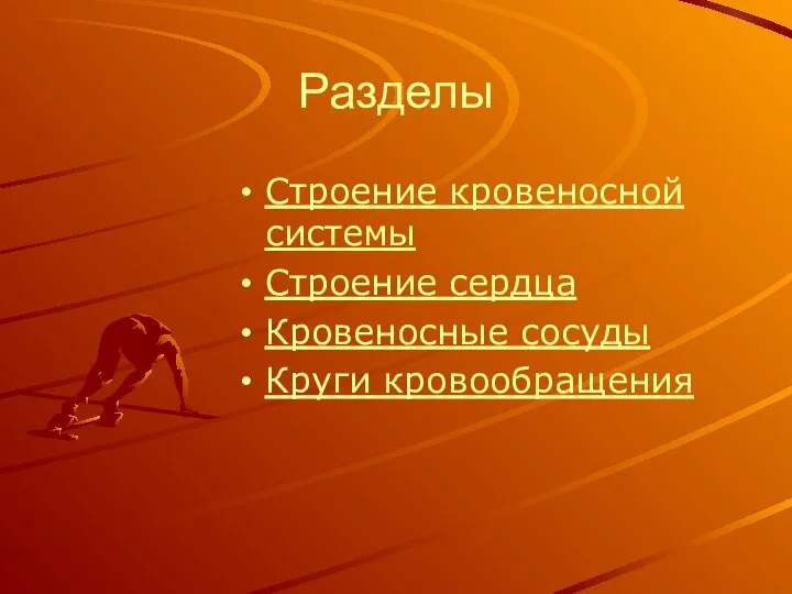 Разделы Строение кровеносной системы Строение сердца Кровеносные сосуды Круги кровообращения