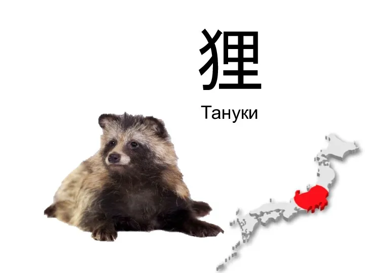 狸 Тануки