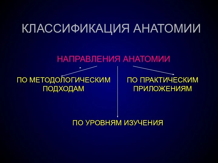 КЛАССИФИКАЦИЯ АНАТОМИИ ПО МЕТОДОЛОГИЧЕСКИМ ПОДХОДАМ ПО ПРАКТИЧЕСКИМ ПРИЛОЖЕНИЯМ ПО УРОВНЯМ ИЗУЧЕНИЯ НАПРАВЛЕНИЯ АНАТОМИИ