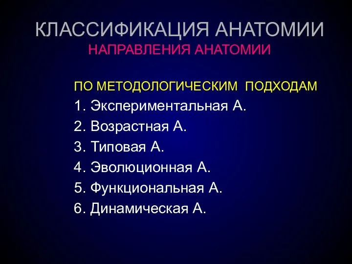 КЛАССИФИКАЦИЯ АНАТОМИИ НАПРАВЛЕНИЯ АНАТОМИИ ПО МЕТОДОЛОГИЧЕСКИМ ПОДХОДАМ 1. Экспериментальная А. 2. Возрастная