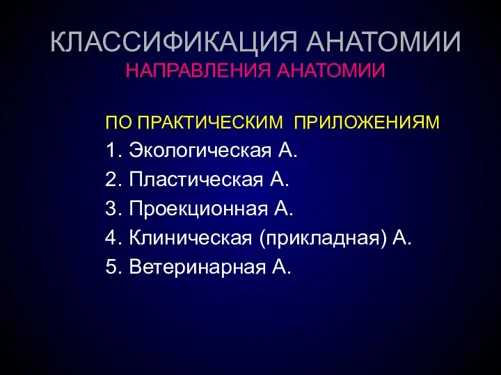 КЛАССИФИКАЦИЯ АНАТОМИИ НАПРАВЛЕНИЯ АНАТОМИИ ПО ПРАКТИЧЕСКИМ ПРИЛОЖЕНИЯМ 1. Экологическая А. 2. Пластическая