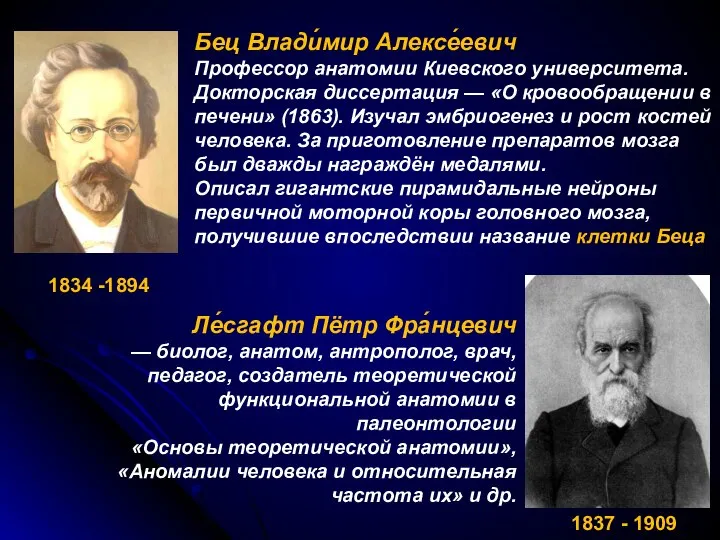 1834 -1894 Бец Влади́мир Алексе́евич Профессор анатомии Киевского университета. Докторская диссертация —