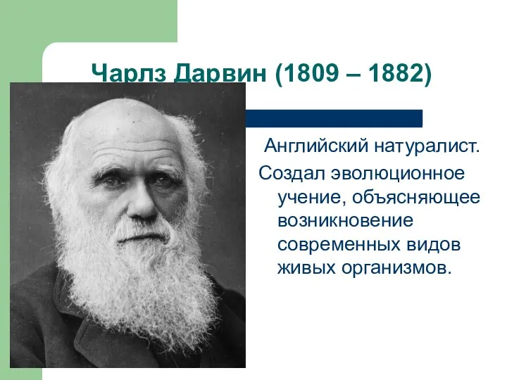 Чарлз Дарвин (1809 – 1882) Английский натуралист. Создал эволюционное учение, объясняющее возникновение современных видов живых организмов.