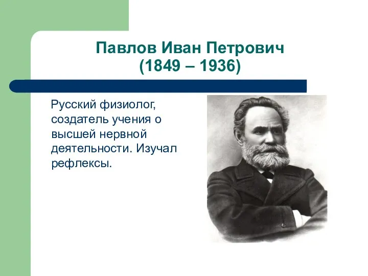 Павлов Иван Петрович (1849 – 1936) Русский физиолог, создатель учения о высшей нервной деятельности. Изучал рефлексы.