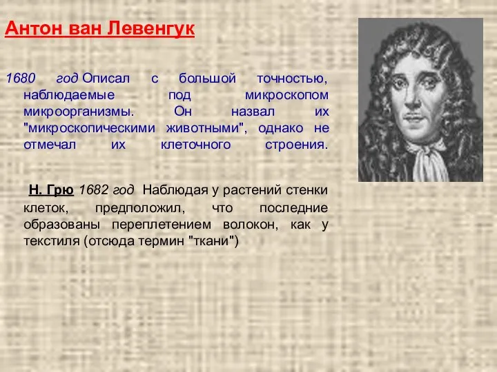 Антон ван Левенгук 1680 год Описал с большой точностью, наблюдаемые под микроскопом