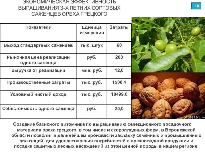 ЭКОНОМИЧЕСКАЯ ЭФФЕКТИВНОСТЬ ВЫРАЩИВАНИЯ 3-Х ЛЕТНИХ СОРТОВЫХ САЖЕНЦЕВ ОРЕХА ГРЕЦКОГО Создание базисного питомника