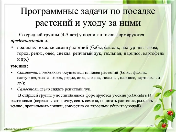 Программные задачи по посадке растений и уходу за ними Со средней группы