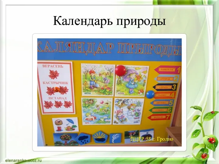 Календарь природы ДЦРР 58 г. Гродно