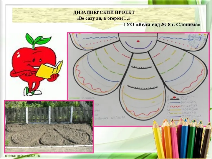 ДИЗАЙНЕРСКИЙ ПРОЕКТ «Во саду ли, в огороде…» ГУО «Ясли-сад № 8 г. Слонима»