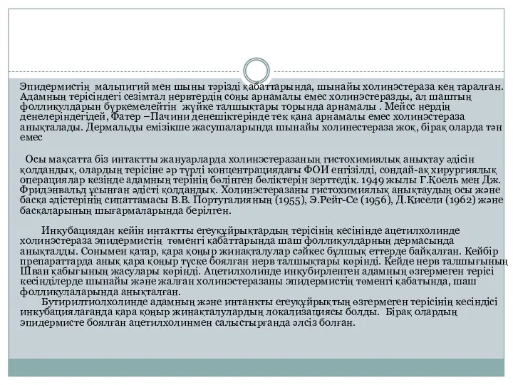 Эпидермистің мальпигий мен шыны тәрізді қабаттарында, шынайы холинэстераза кең таралған. Адамның терісіндегі