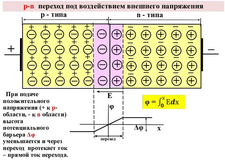 р-n переход под воздействием внешнего напряжения Е φ Δφ х р -