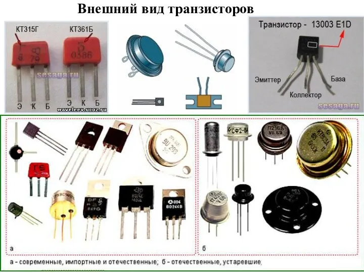 Внешний вид транзисторов