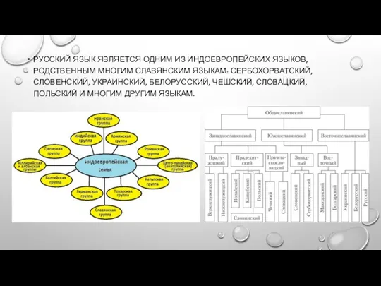 РУССКИЙ ЯЗЫК ЯВЛЯЕТСЯ ОДНИМ ИЗ ИНДОЕВРОПЕЙСКИХ ЯЗЫКОВ, РОДСТВЕННЫМ МНОГИМ СЛАВЯНСКИМ ЯЗЫКАМ: СЕРБОХОРВАТСКИЙ,