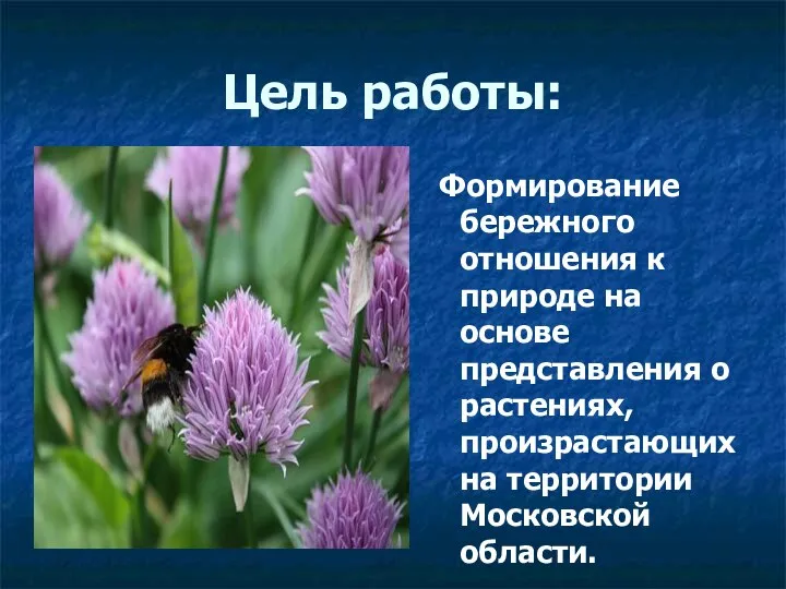 Цель работы: Формирование бережного отношения к природе на основе представления о растениях,