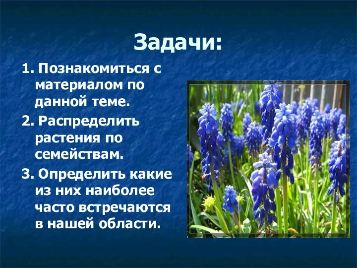 Задачи: 1. Познакомиться с материалом по данной теме. 2. Распределить растения по