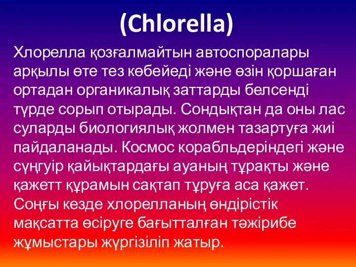 (Chlorella) Хлорелла қозғалмайтын автоспоралары арқылы өте тез көбейеді және өзін қоршаған ортадан