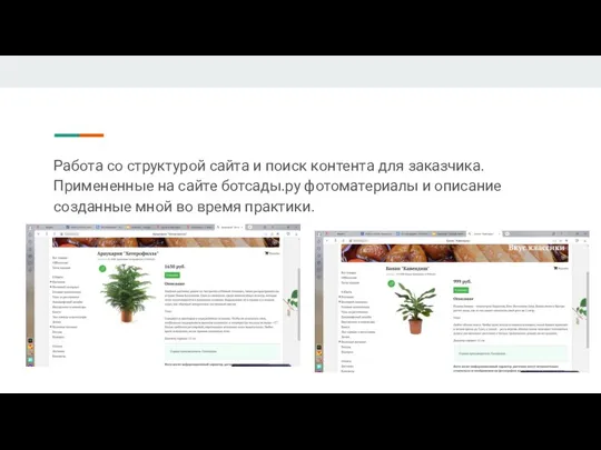 Работа со структурой сайта и поиск контента для заказчика.Примененные на сайте ботсады.ру