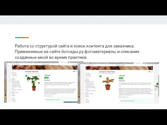 Работа со структурой сайта и поиск контента для заказчика.Примененные на сайте ботсады.ру