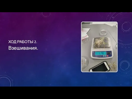 ХОД РАБОТЫ 2. Взешивания.