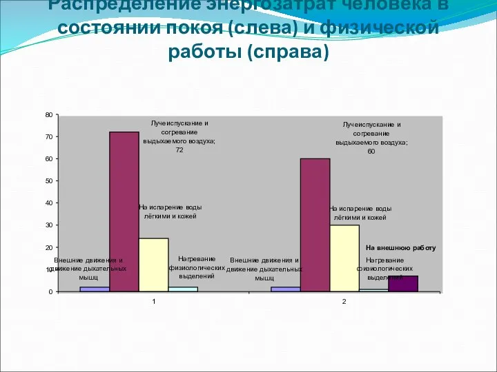 Распределение энергозатрат человека в состоянии покоя (слева) и физической работы (справа)