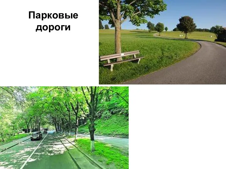 Парковые дороги