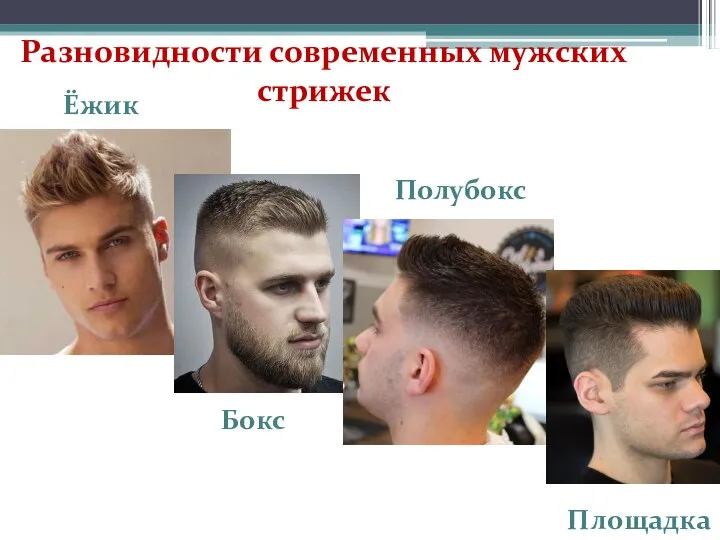 Разновидности современных мужских стрижек Ёжик Бокс Полубокс Площадка