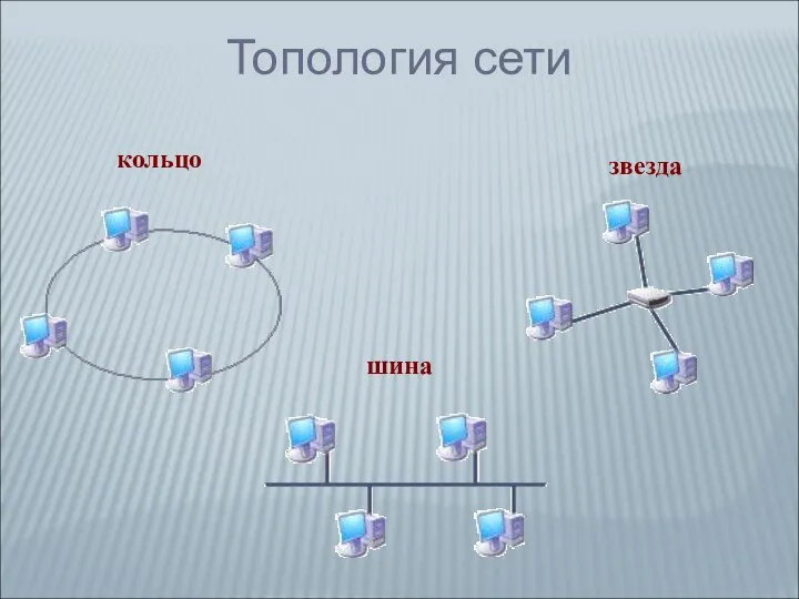 Топология сети шина звезда кольцо