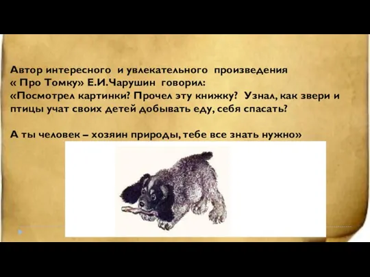 Автор интересного и увлекательного произведения « Про Томку» Е.И.Чарушин говорил: «Посмотрел картинки?