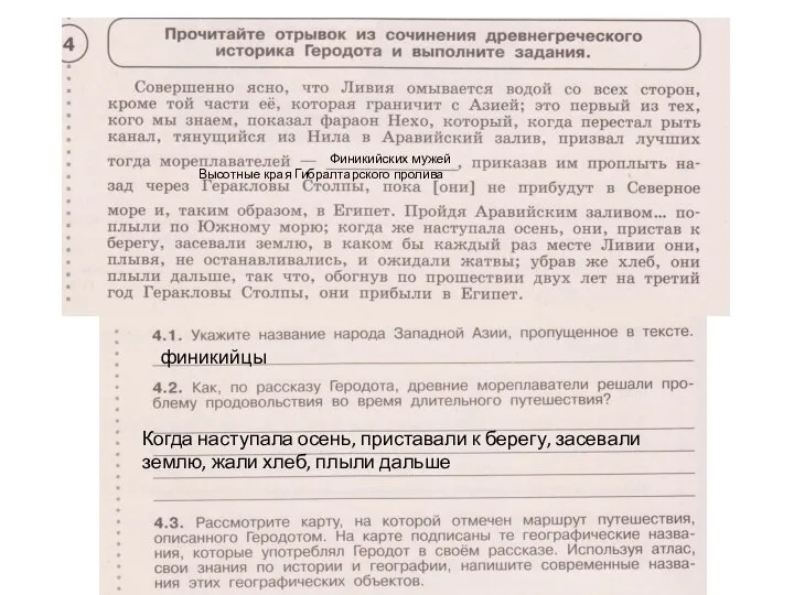 Финикийских мужей финикийцы Когда наступала осень, приставали к берегу, засевали землю, жали