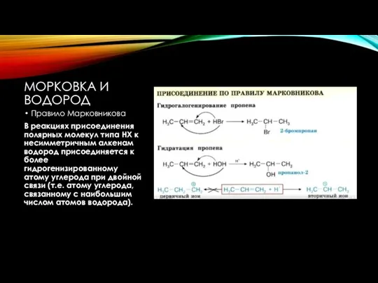 МОРКОВКА И ВОДОРОД Правило Марковникова В реакциях присоединения полярных молекул типа НХ