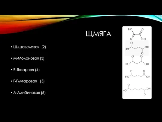 ЩМЯГА Щ-щавелевая (2) М-Молоновая (3) Я-Янтарная (4) Г-Глутаровая (5) А-Адибиновая (6)