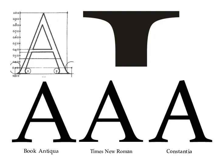 Book Antiqua Times New Roman Constantia