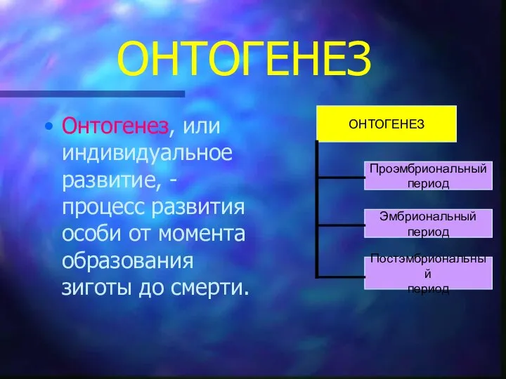 ОНТОГЕНЕЗ Онтогенез, или индивидуальное развитие, - процесс развития особи от момента образования