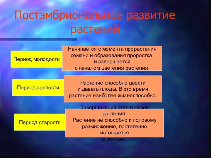 Постэмбриональное развитие растений Период молодости Период зрелости Период старости Начинается с момента