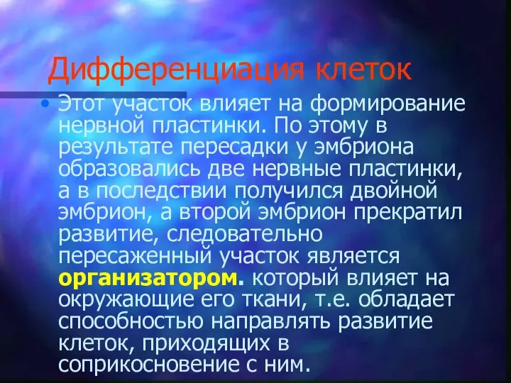 Дифференциация клеток Этот участок влияет на формирование нервной пластинки. По этому в