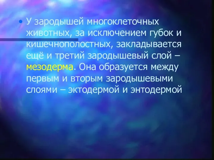 У зародышей многоклеточных животных, за исключением губок и кишечнополостных, закладывается ещё и