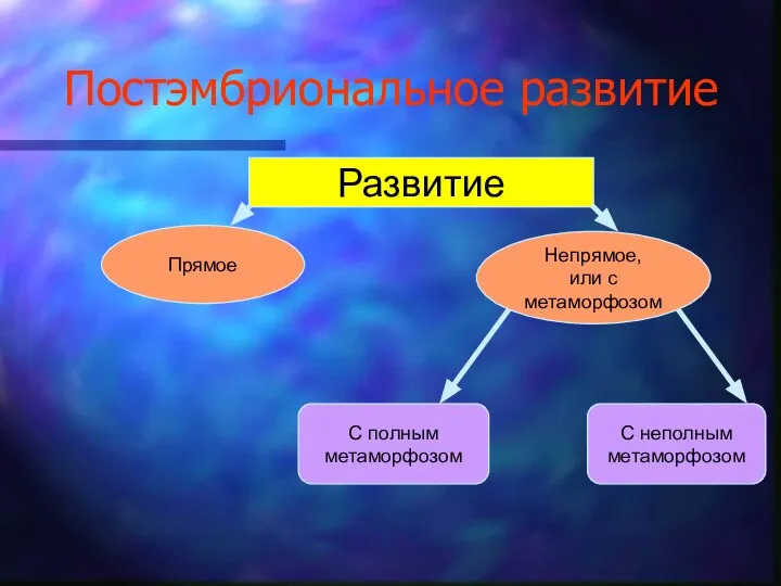 Постэмбриональное развитие Развитие Прямое Непрямое, или с метаморфозом С полным метаморфозом С неполным метаморфозом